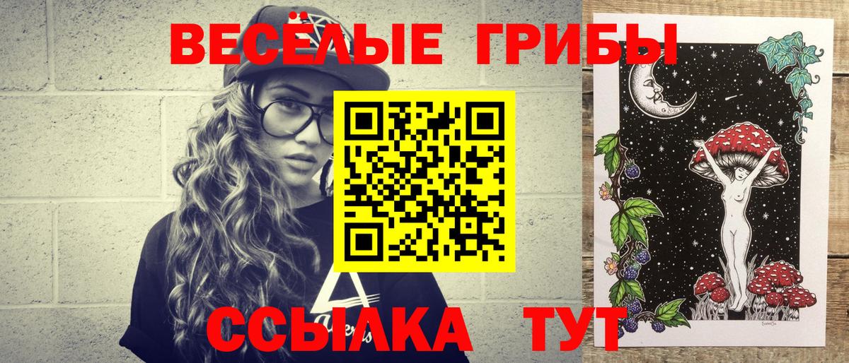 Новоалександровск  Псилоцибиновые грибы GOLDEN TEACHER  Вход с VPN  Галлюциногенные грибы Psilocybe 