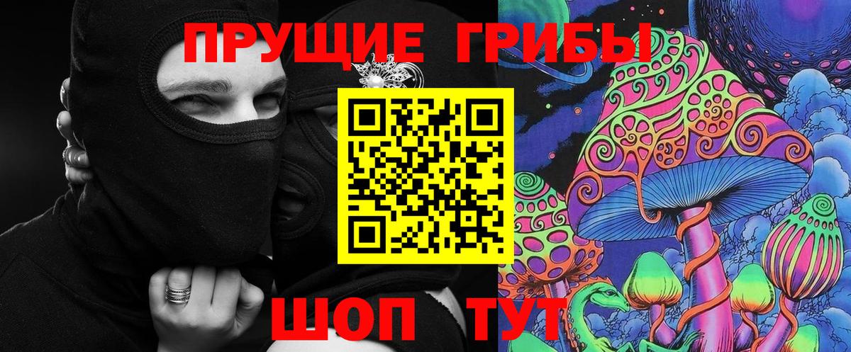 Галлюциногенные грибы Psilocybe Новоалександровск